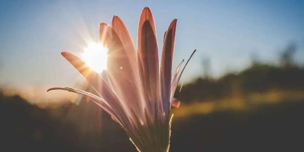 download 2025 07 17T151529.903