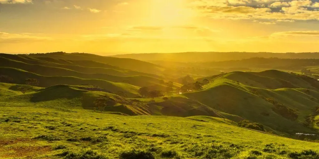 download 2025 07 17T151813.488